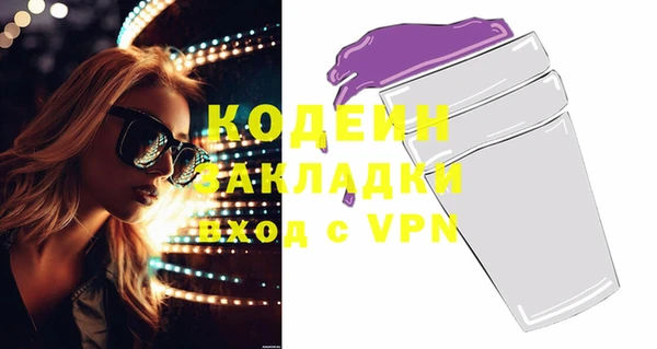 индика Балахна