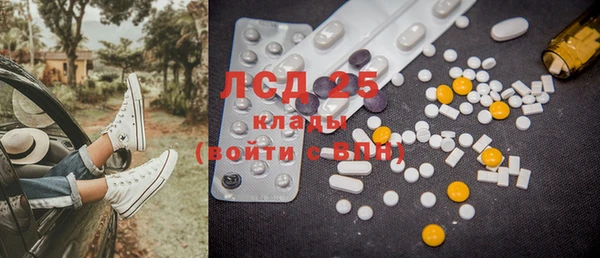 индика Балахна