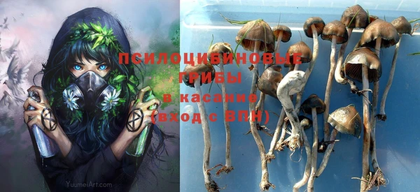 индика Балахна