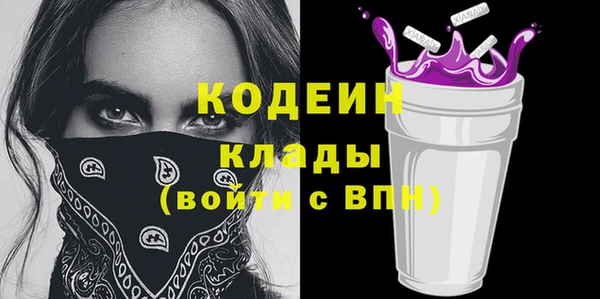 индика Балахна