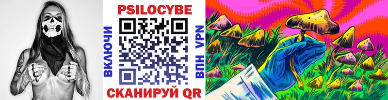 Псилоцибиновые грибы MAGIC MUSHROOMS где купить наркоту omg Курчалой